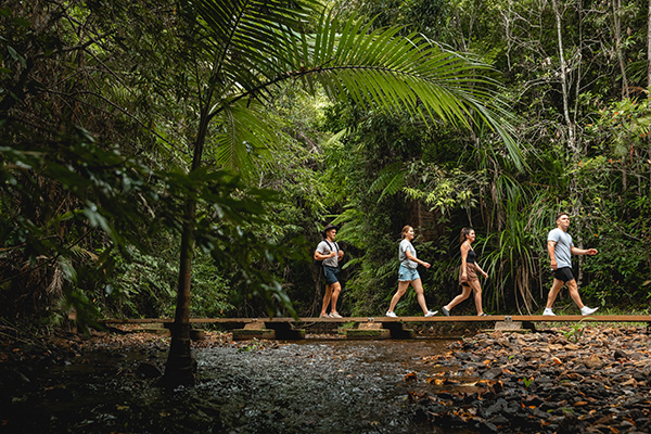 People enjoying a walk through wildlife in a Queensland rainforest.