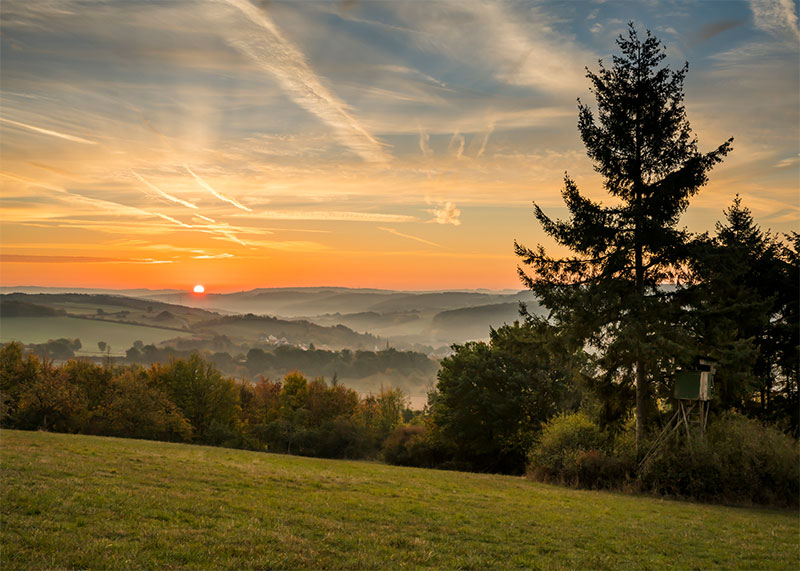 Sonnenaufgang in der Eifel