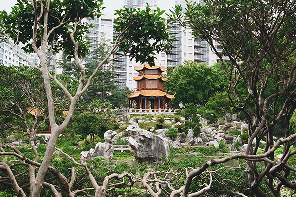 The peaceful and scenic grounds of the Chinese Garden of Friendship in Chinatown, Darling Harbour.