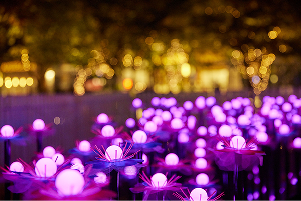 Tomorrow's Blossoming’ light installation at Darling Square, Vivid Sydney 2022. Artist: ..GF Designs: Gemma Ferguson (Australia)