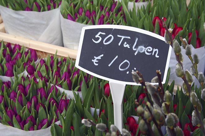 tulip amsterdam flower market bloemenmarkt