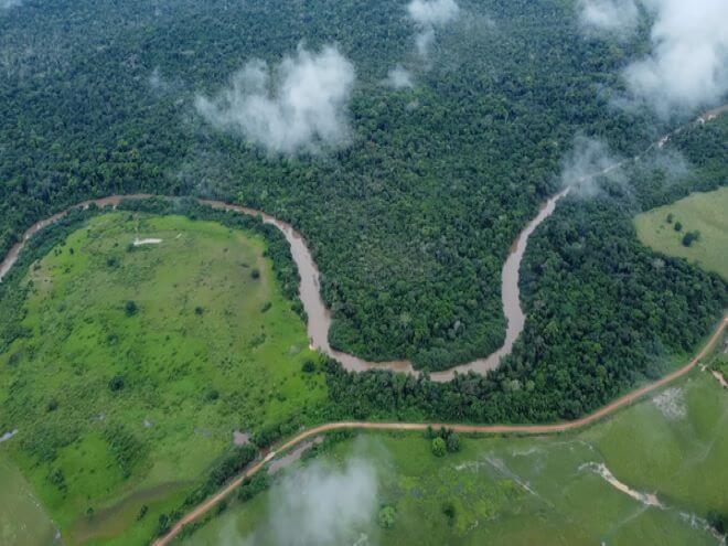 Amazônia visão aérea da floresta