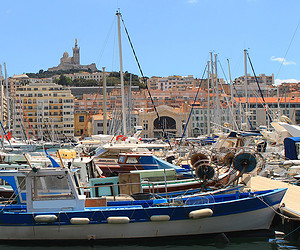 Marseille, la sardine à bon port ! 