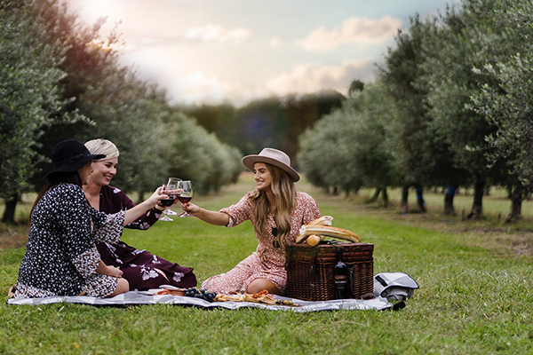 Friends enjoying a picnic and wine together