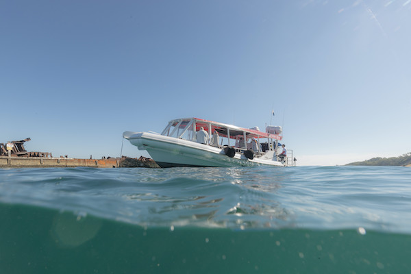 Head out into Moreton Bay to sample oysters on a River to Bay cruise
