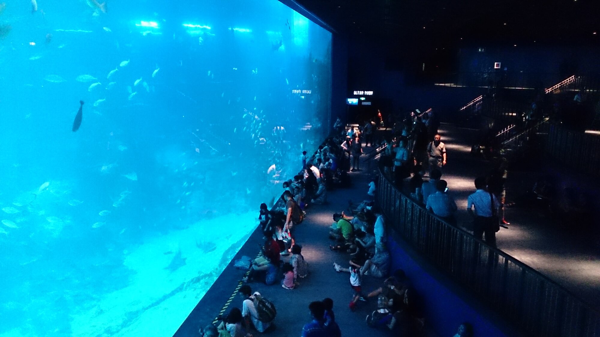 S.E.A. Aquarium Singapore. Source: Project Manhattan