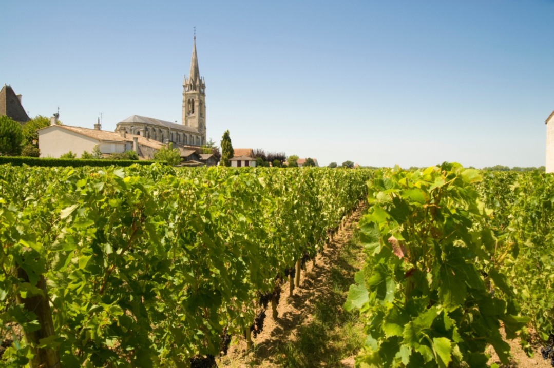 Vignoble de Saint-Émilion et Libournais