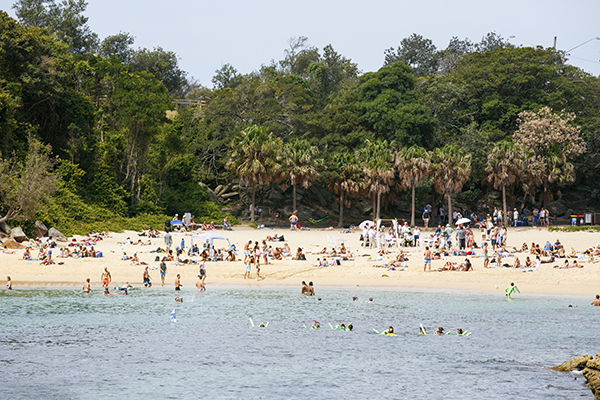  Crowds enjoying a day out at Shelly Beach, Manly.