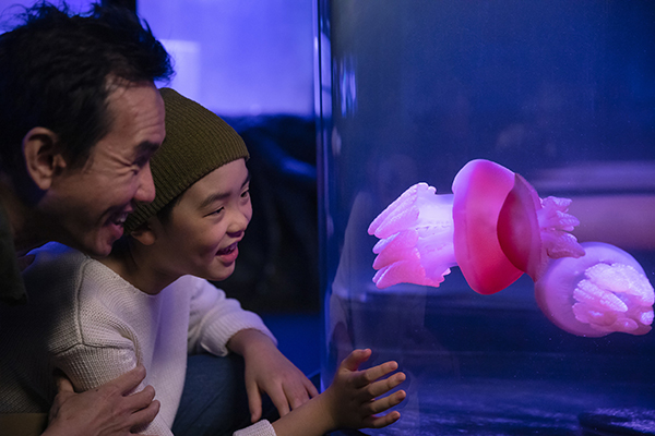 Family enjoying their visit to SEA LIFE Sydney Aquarium, Darling Harbour. 