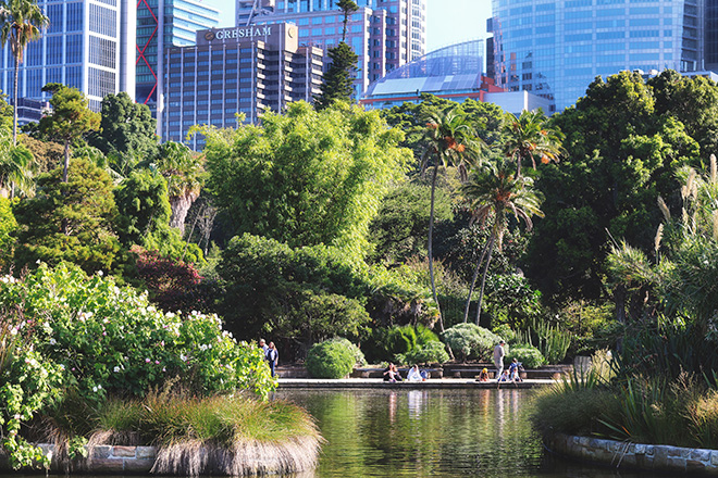 The Sydney Botanic Gardens make for a great picnic spot, or the perfect spot to escape with a good book. Credit: Tourism Australia