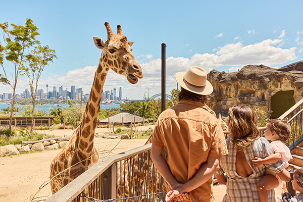 Family enjoying a giraffe encounter at Taronga Zoo, Mosman in Sydney