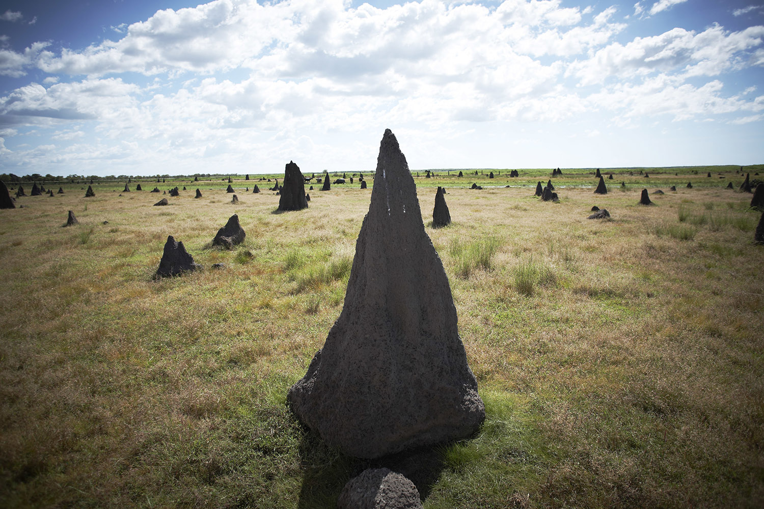 Magnetic Termite Mounds - Tourism Australia